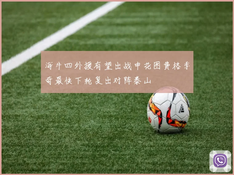 海牛四外援有望出战申花图费格季奇最快下轮复出对阵泰山